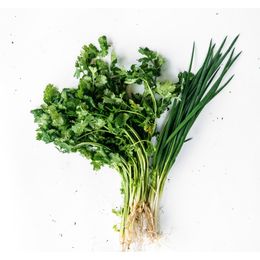 Cheiro-Verde