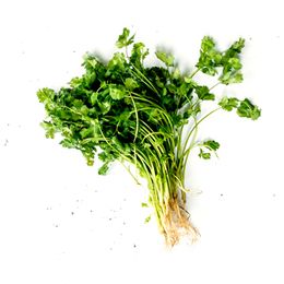 Cheiro-Verde-copy