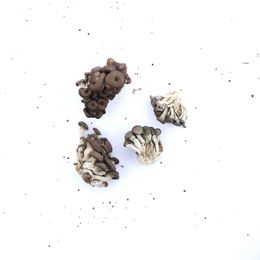 Cogumelo-Shimeji-Organico-BDJ-200g
