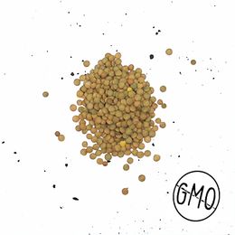 Lentilha-Clara-250g---Raizs