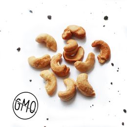 Castanha-de-Caju-Torrada-com-Sal-100g---Raizs