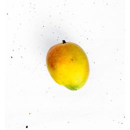 Manga-Palmer-Organica--900g---1kg----Raizs