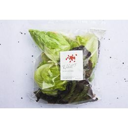 Salada-Todo-Dia-Organica-Higienizada-150g---Raizs
