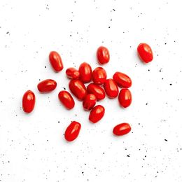 Tomate-Perinha-Organico-200g---Raizs