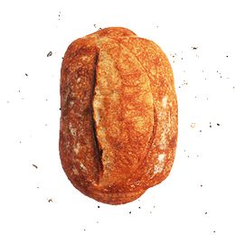 Pao-Organico-600g---Tartaruga